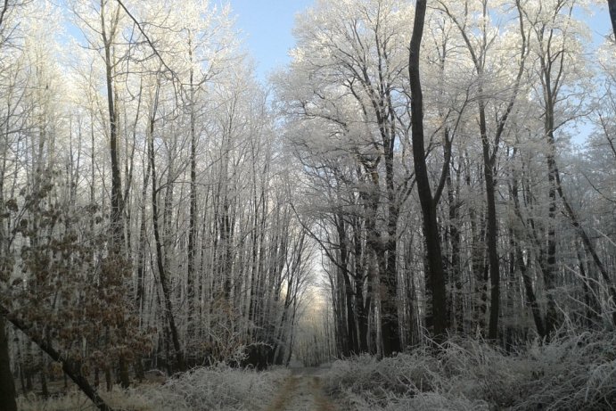 Fotosoutěž: Taková byla zima u nás
