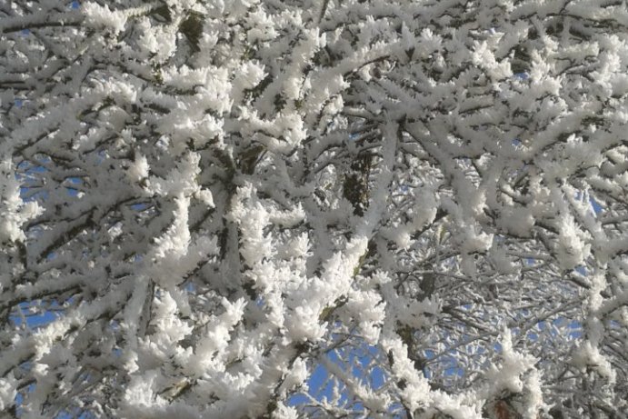 Fotosoutěž: Taková byla zima u nás