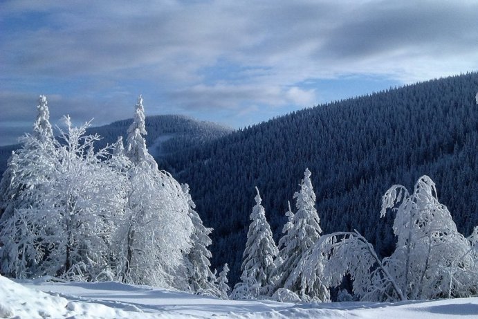 Fotosoutěž: Taková byla zima u nás