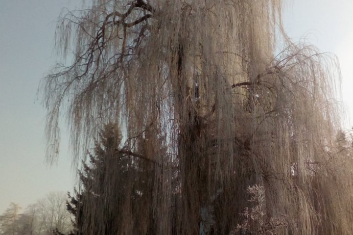 Fotosoutěž: Taková byla zima u nás