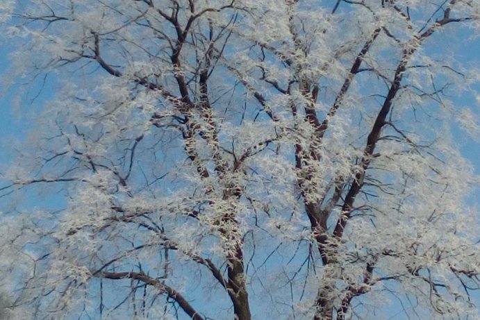 Fotosoutěž: Taková byla zima u nás