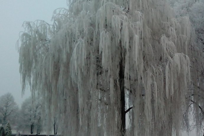 Fotosoutěž: Taková byla zima u nás