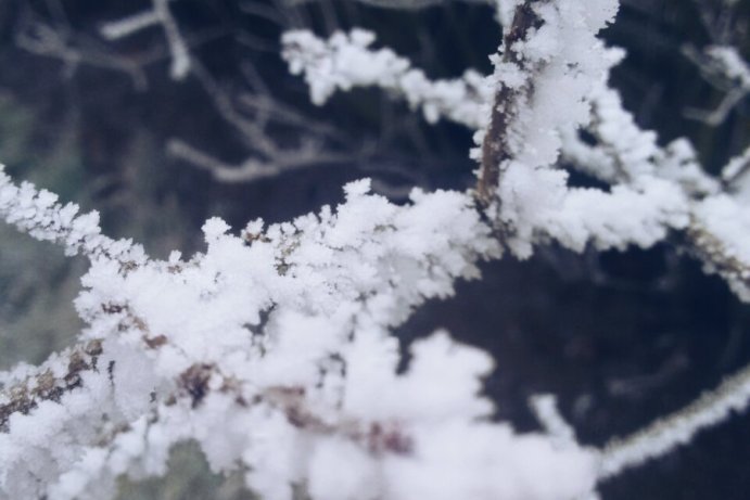 Fotosoutěž: Taková byla zima u nás
