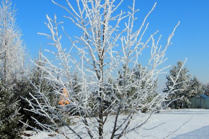 Fotosoutěž: Taková byla zima u nás