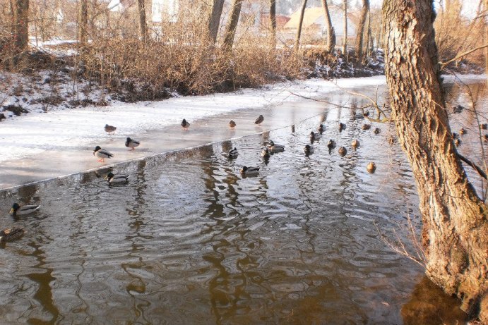 Fotosoutěž: Taková byla zima u nás