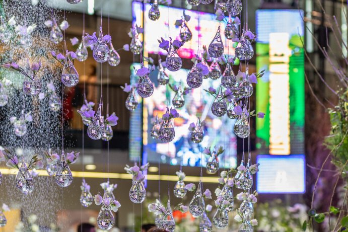 Jarní Flora Olomouc otevřela své brány. Hlavní expozici tvoří Paralelní květy