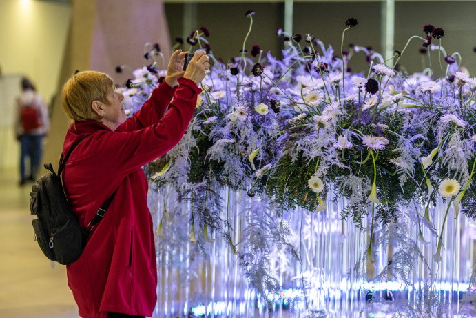 Jarní Flora Olomouc otevřela své brány. Hlavní expozici tvoří Paralelní květy