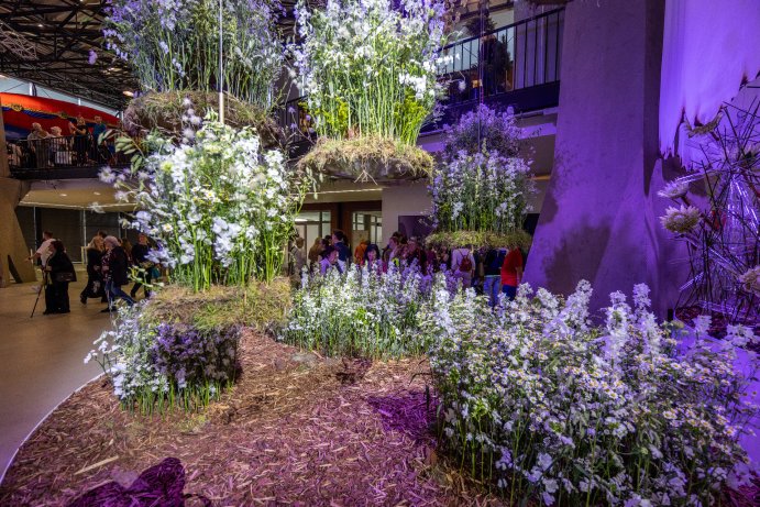 Jarní Flora Olomouc otevřela své brány. Hlavní expozici tvoří Paralelní květy