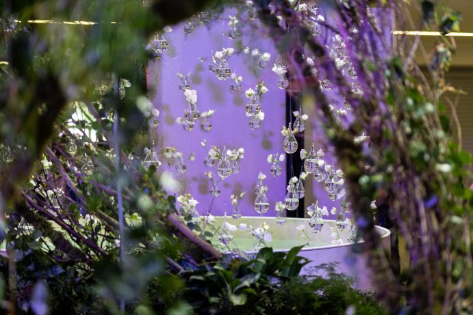 Jarní Flora Olomouc otevřela své brány. Hlavní expozici tvoří Paralelní květy