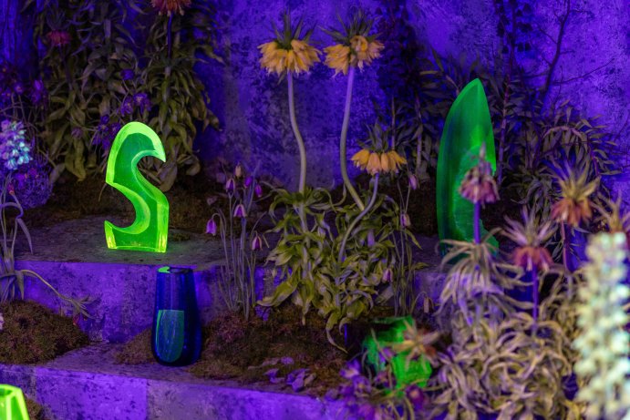 Jarní Flora Olomouc otevřela své brány. Hlavní expozici tvoří Paralelní květy