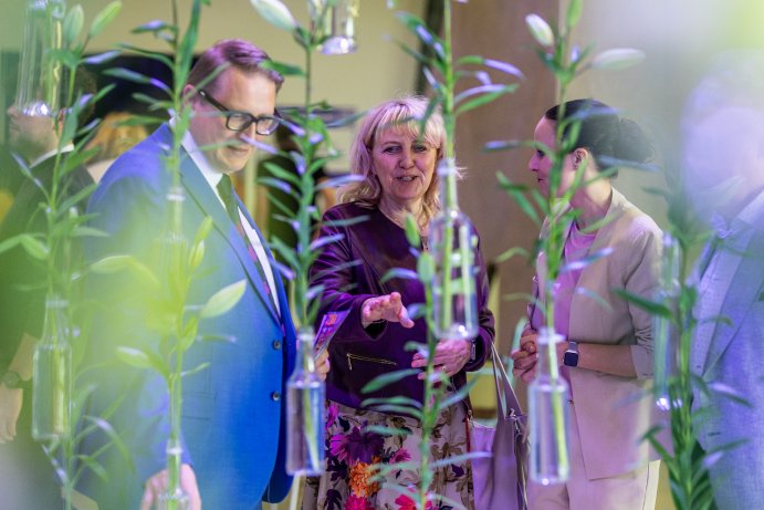 Jarní Flora Olomouc otevřela své brány. Hlavní expozici tvoří Paralelní květy