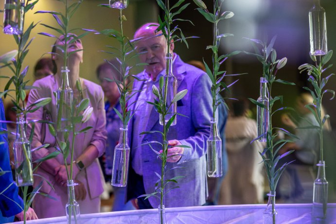 Jarní Flora Olomouc otevřela své brány. Hlavní expozici tvoří Paralelní květy