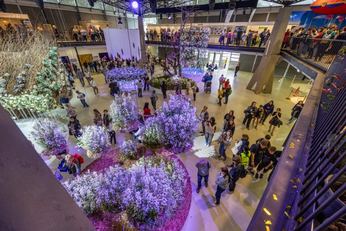 Jarní Flora Olomouc otevřela své brány. Hlavní expozici tvoří Paralelní květy