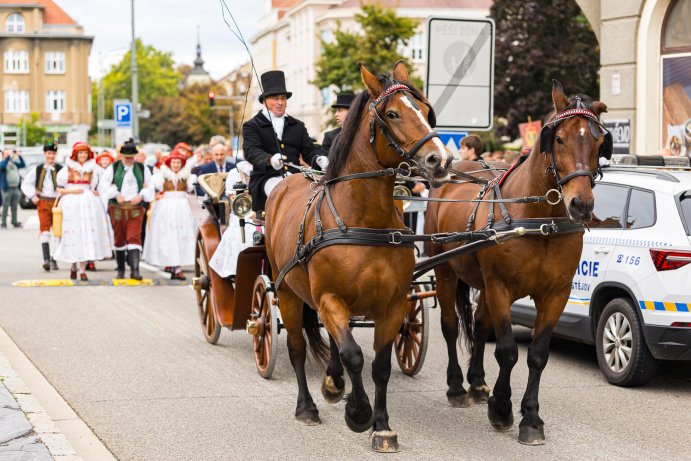 Hanácké slavnosti se i přes déšť vydařily