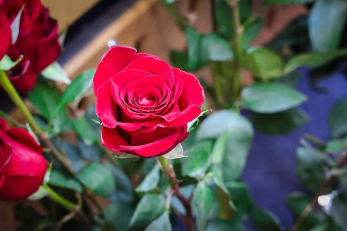 Hejtman se setkal s oběťmi nacistického režimu