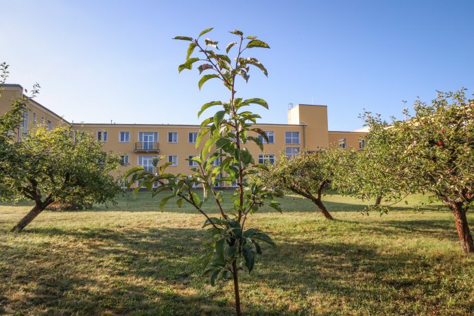 Strom přátelství symbolicky stvrdil spolupráci Olomouckého a Trnavského kraje