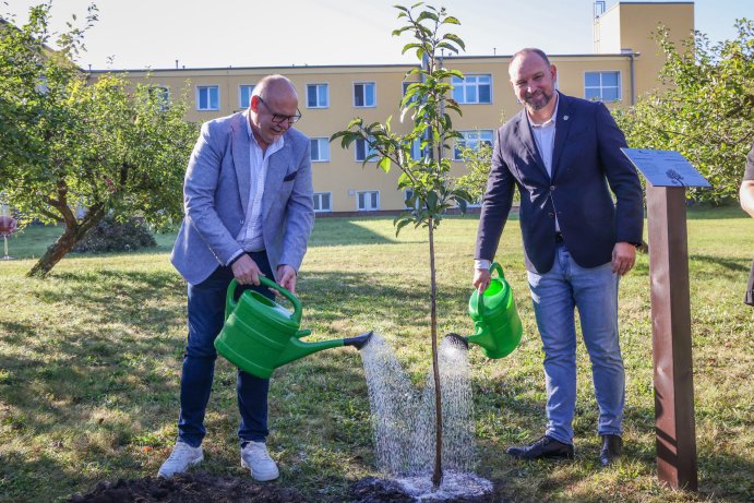 Strom přátelství symbolicky stvrdil spolupráci Olomouckého a Trnavského kraje
