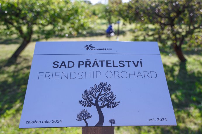 Strom přátelství symbolicky stvrdil spolupráci Olomouckého a Trnavského kraje