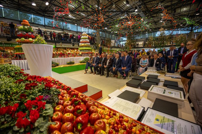 Flora Olomouc opět rozzářila podzim barvami. Jubilejní 30. ročník přilákal tisíce návštěvníků