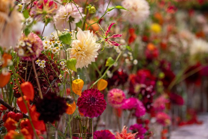 Flora Olomouc opět rozzářila podzim barvami. Jubilejní 30. ročník přilákal tisíce návštěvníků