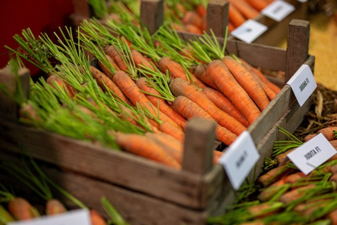 Flora Olomouc opět rozzářila podzim barvami. Jubilejní 30. ročník přilákal tisíce návštěvníků