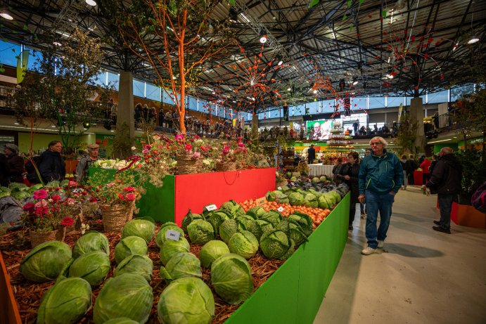 Flora Olomouc opět rozzářila podzim barvami. Jubilejní 30. ročník přilákal tisíce návštěvníků