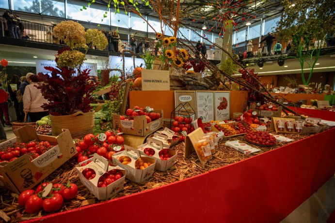 Flora Olomouc opět rozzářila podzim barvami. Jubilejní 30. ročník přilákal tisíce návštěvníků