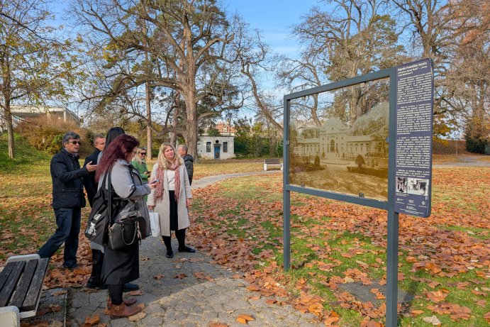 PXL_20251111_103309882