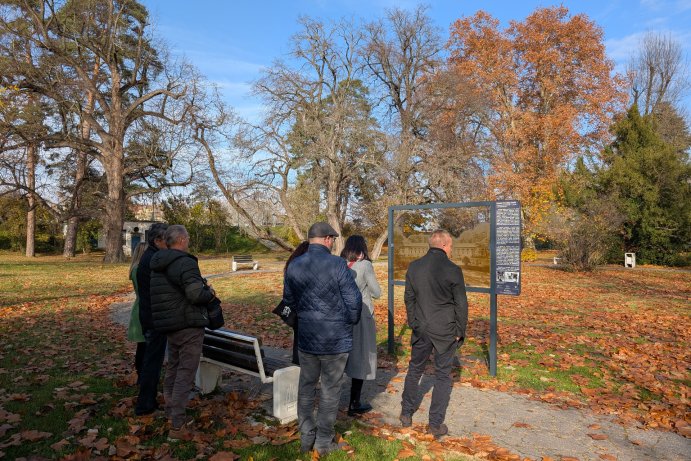 PXL_20251111_103545531