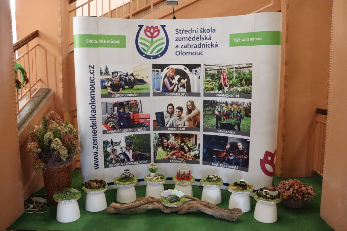 foto: Barbora Burešová - denik.cz