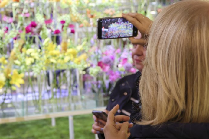  Flora propojila krásu květin a tóny hudby
