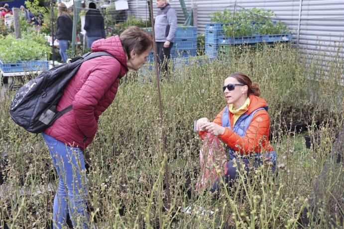  Flora propojila krásu květin a tóny hudby
