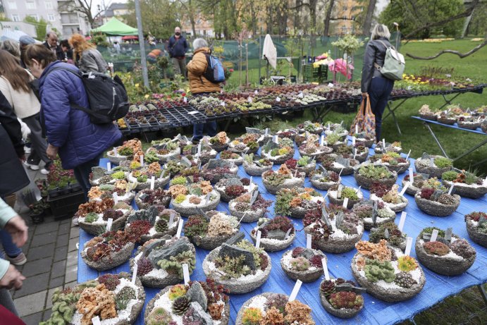  Flora propojila krásu květin a tóny hudby
