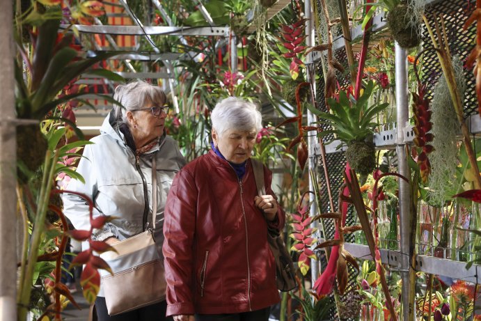  Flora propojila krásu květin a tóny hudby
