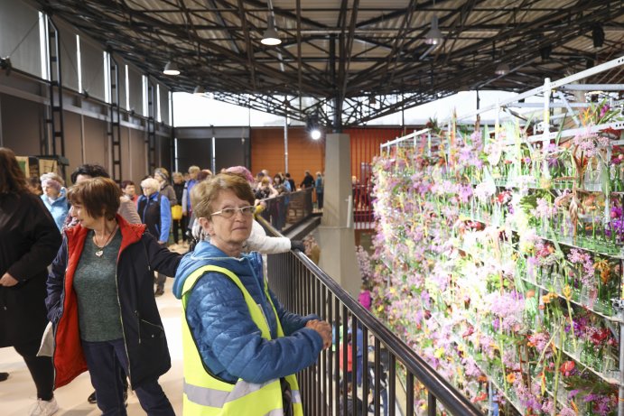  Flora propojila krásu květin a tóny hudby
