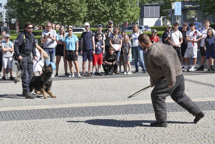  Dětský den Olomouckého kraje přilákal stovky malých návštěvníků
