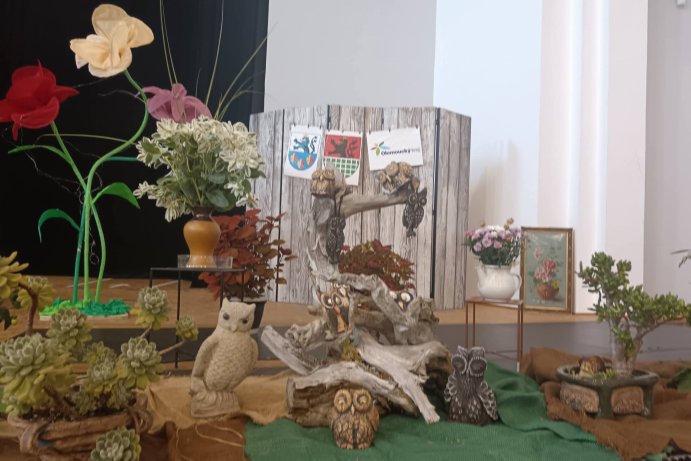 Rapotín rozkvetl mečíky. Výstava připomněla 65 let tradice
