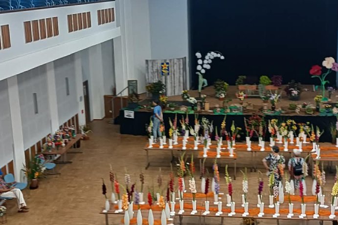 Rapotín rozkvetl mečíky. Výstava připomněla 65 let tradice