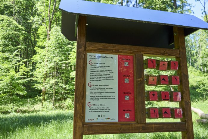  Zacvičte si v lese jako Věra Čáslavská. Šumperk láká na pohybovou stezku
