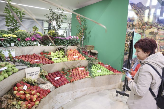  Flora Olomouc Hortikomplex 2026 odstartoval, výstava potrvá do neděle
