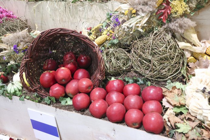  Flora Olomouc Hortikomplex 2026 odstartoval, výstava potrvá do neděle
