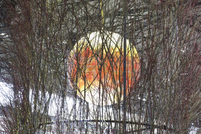 Flora Olomouc Hortikomplex 2026 odstartoval, výstava potrvá do neděle
