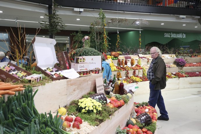  Flora Olomouc Hortikomplex 2026 odstartoval, výstava potrvá do neděle
