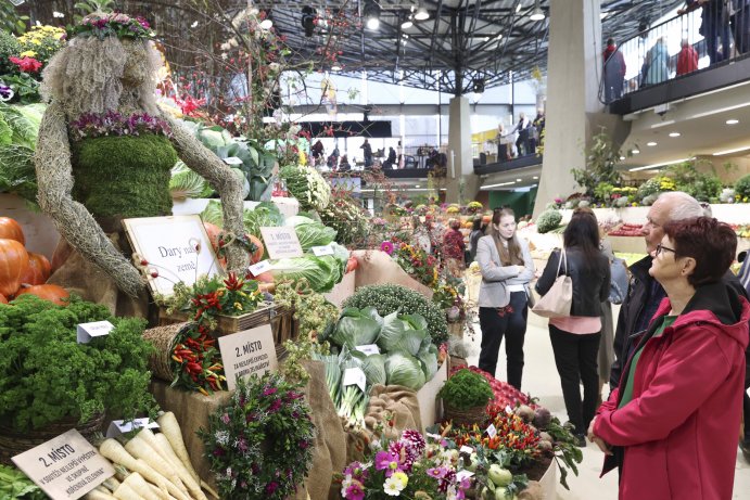  Flora Olomouc Hortikomplex 2026 odstartoval, výstava potrvá do neděle
