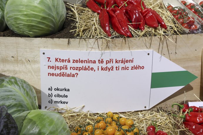  Flora Olomouc Hortikomplex 2026 odstartoval, výstava potrvá do neděle

