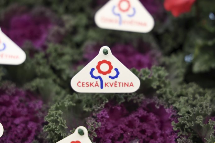  Flora Olomouc Hortikomplex 2026 odstartoval, výstava potrvá do neděle
