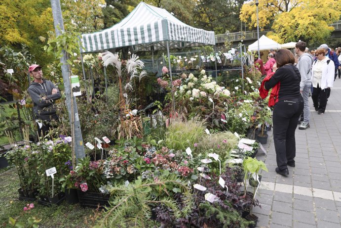  Flora Olomouc Hortikomplex 2026 odstartoval, výstava potrvá do neděle
