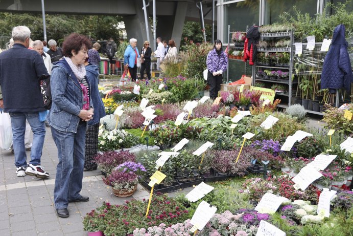  Flora Olomouc Hortikomplex 2026 odstartoval, výstava potrvá do neděle
