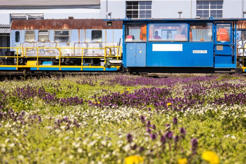 V šumperském Parsu se budou vyrábět vlaky pro kraj
