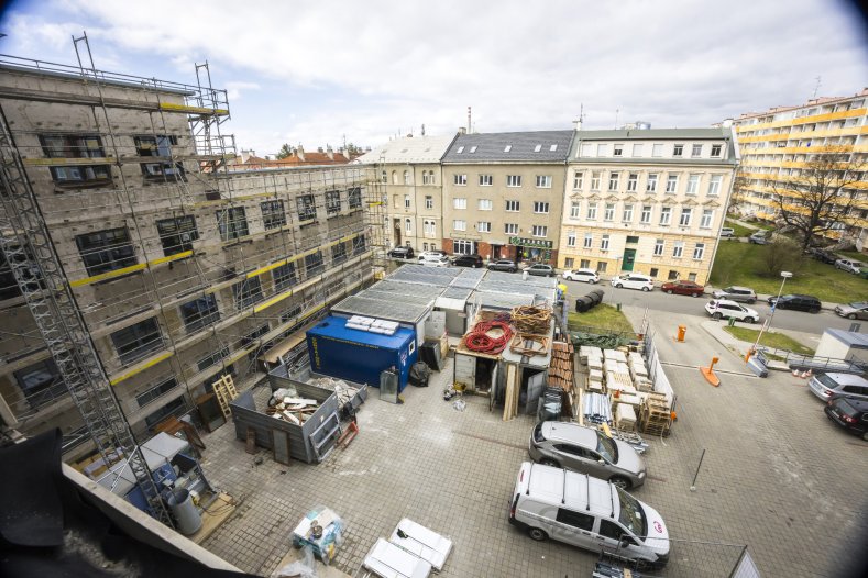 Kraj ubytuje rorýse a ušetří tuny oxidu uhličitého